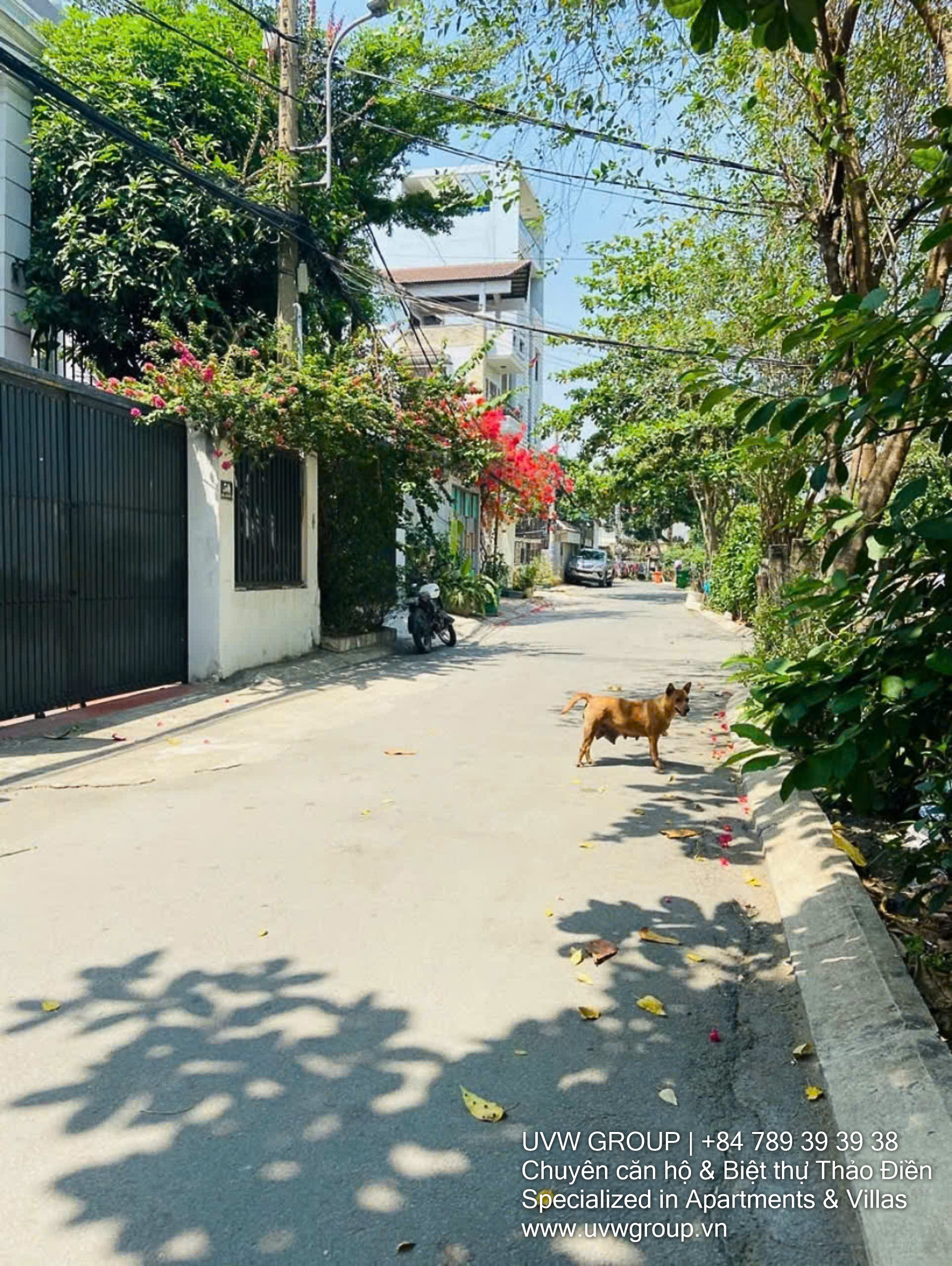 Sturdy 3-bedroom house for sale in Thao Dien, District 2 – 133.4m², 3 floors