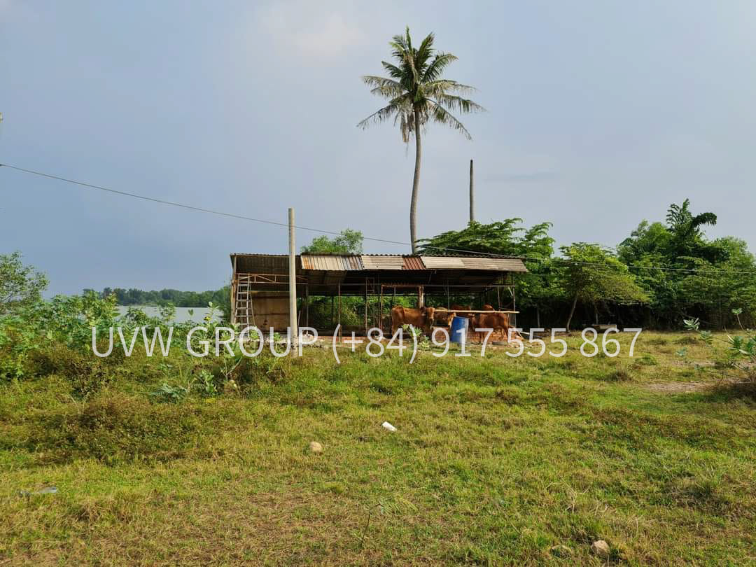 Map showing 3.5-hectare land plot with road and river frontage in Long Phuoc, District 9