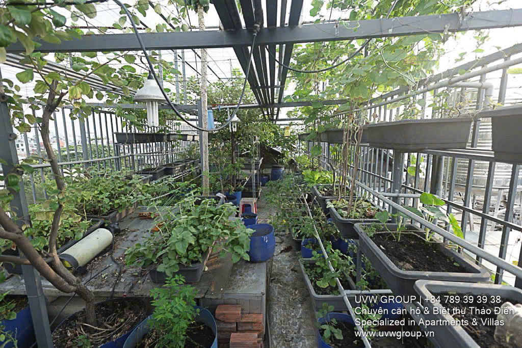 5-bedroom house for sale on Tan Ky Tan Quy Street, Binh Hung Hoa, Binh Tan District – 96m², ground + 3 floors, pink book