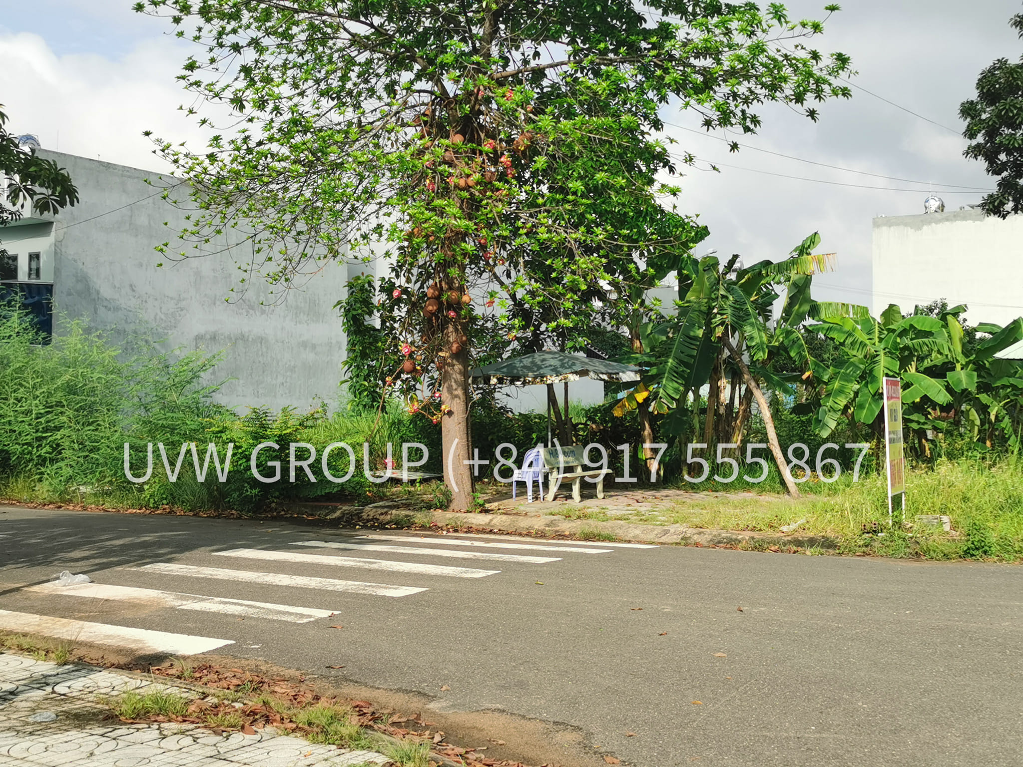 Urgent Sale – Residential Land in Long Truong Ward, District 9 | 710m² | 29 Billion VND