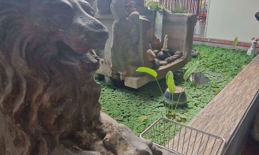 Commercial property for sale on Cong Ly Street, District 3, Ho Chi Minh City – 810sqm land, prime location, ideal for investment