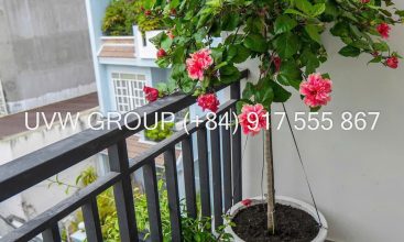 Cheap and beautiful house on Quoc Huong street – Thao Dien ward