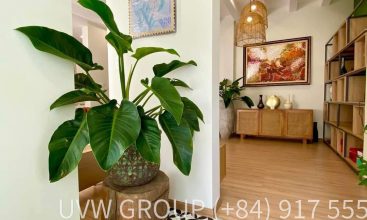 House for sale on 138 Street, Tan Phu, District 9