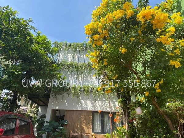 House for sale on 138 Street, Tan Phu, District 9