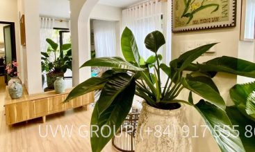 House for sale on 138 Street, Tan Phu, District 9