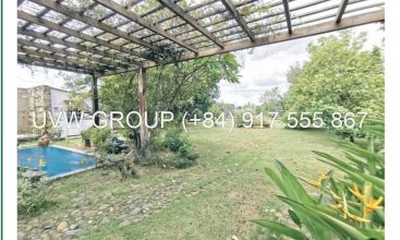 Large land for sale in District 9