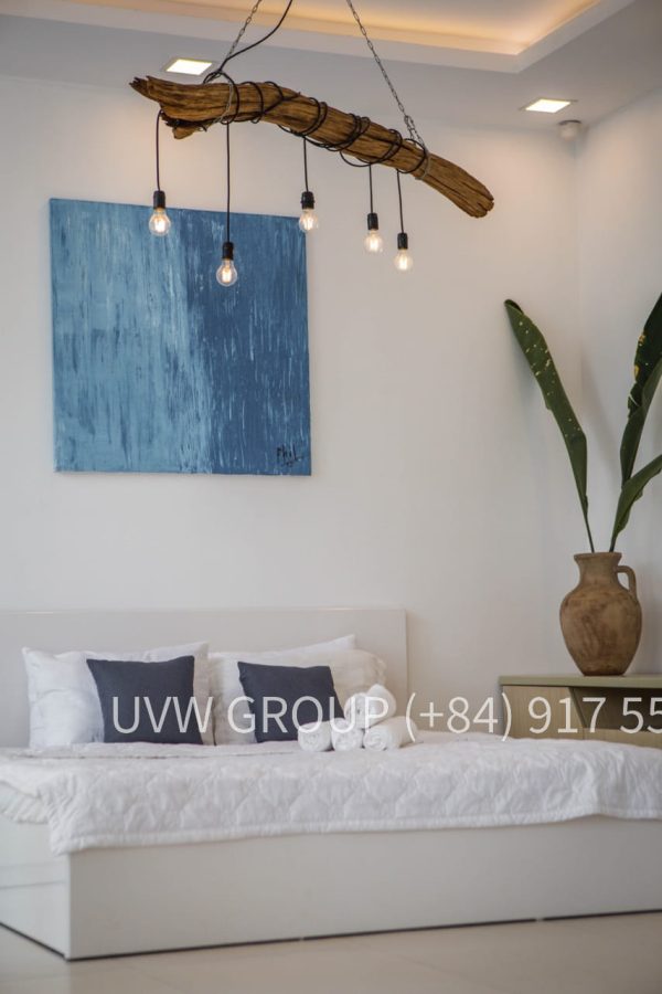 Modern villa for rent in Thao Dien District 2