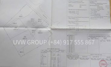 Nice Land frontage Nguyen Thi Dinh – Thu Duc City