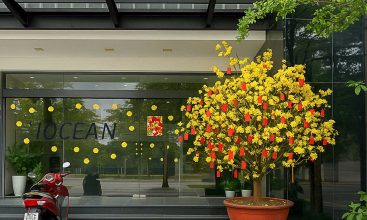 Office Building for Rent in Thao Dien, prime Location