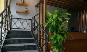 Spacious 10x20m commercial property frontage for rent on Song Hành Street, An Phú, Thu Duc City