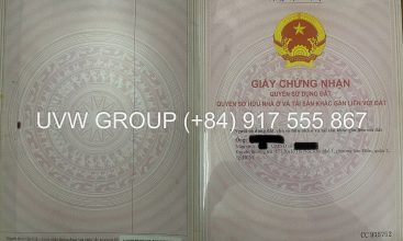 Vacant land for rent in Thao dien Ward – Thu duc City