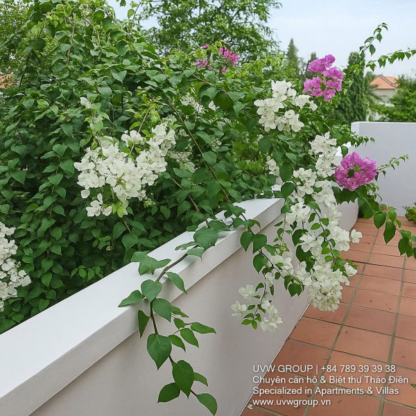 villa for rent in thao dien district 2